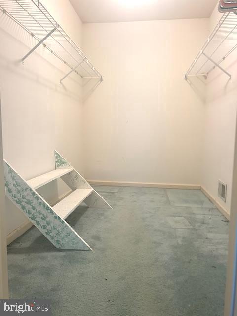 spacious closet featuring carpet and visible vents