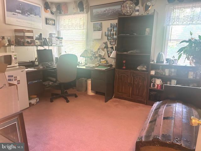 home office featuring carpet