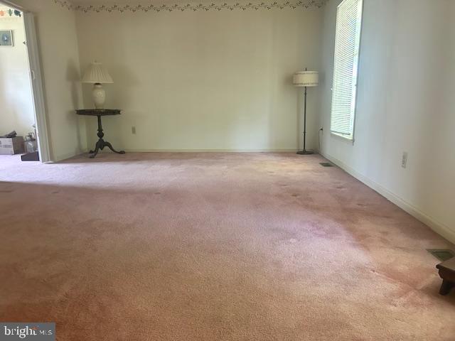 spare room with carpet