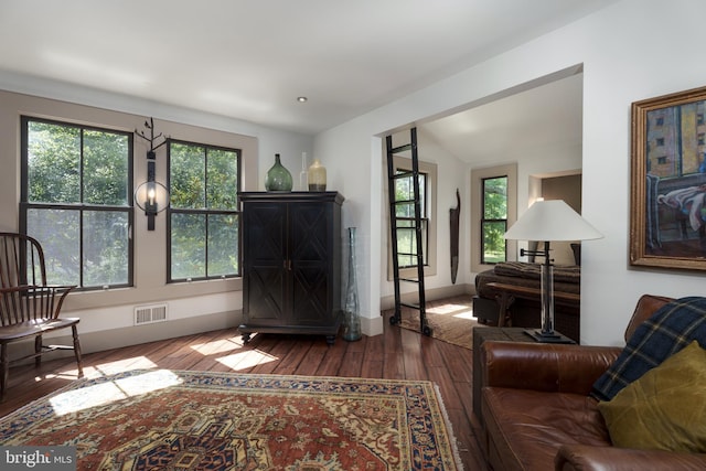 living room featuring hardwood / wood-style floors and plenty of natural light