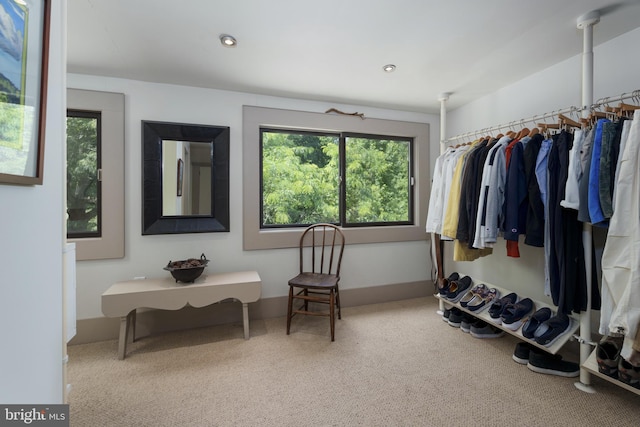 walk in closet with carpet