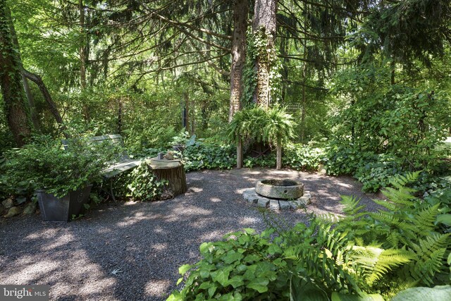 view of patio / terrace featuring a fire pit and a forest view