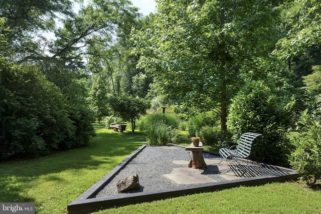 view of property's community with a yard