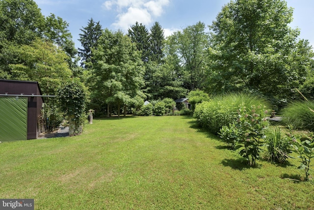 view of grassy yard featuring an outbuilding and a shed
