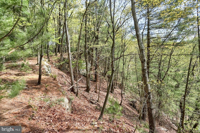 view of landscape with a forest view