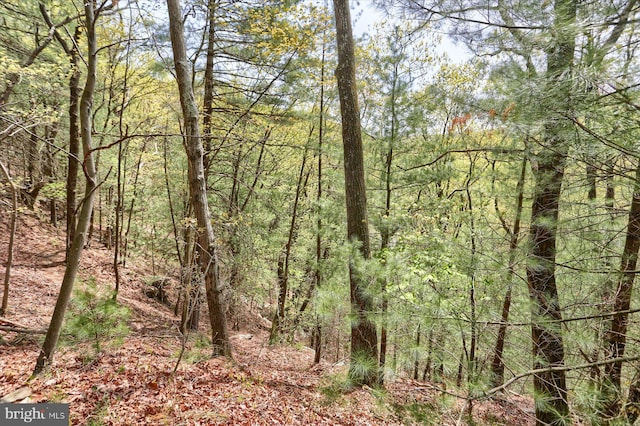 view of landscape featuring a wooded view