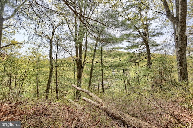view of local wilderness with a view of trees