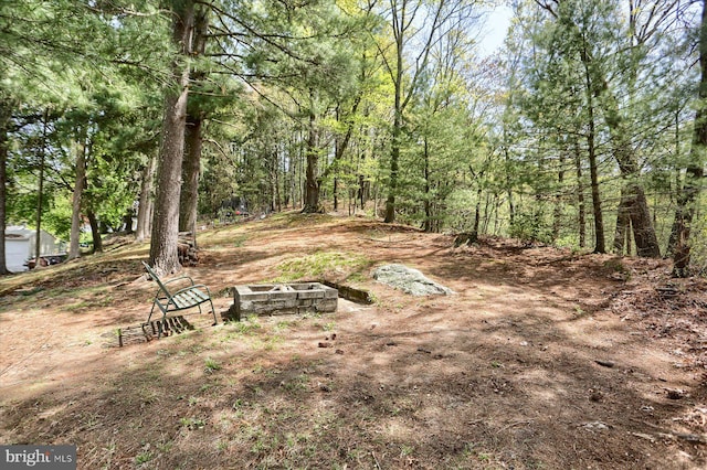 view of yard with an outdoor fire pit
