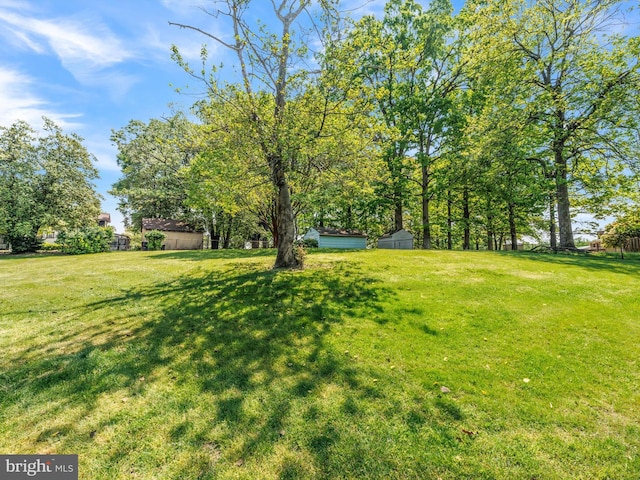 view of yard