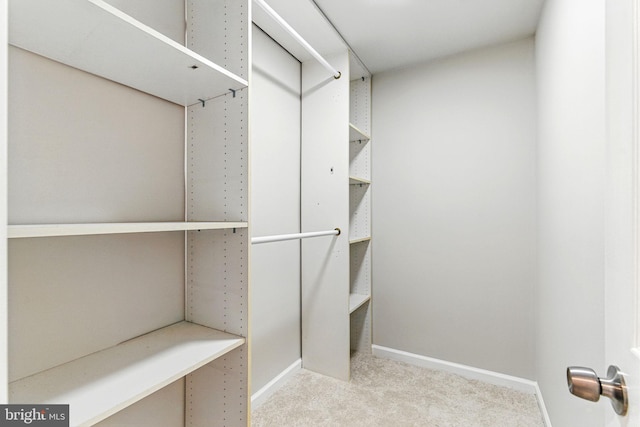 spacious closet featuring carpet floors