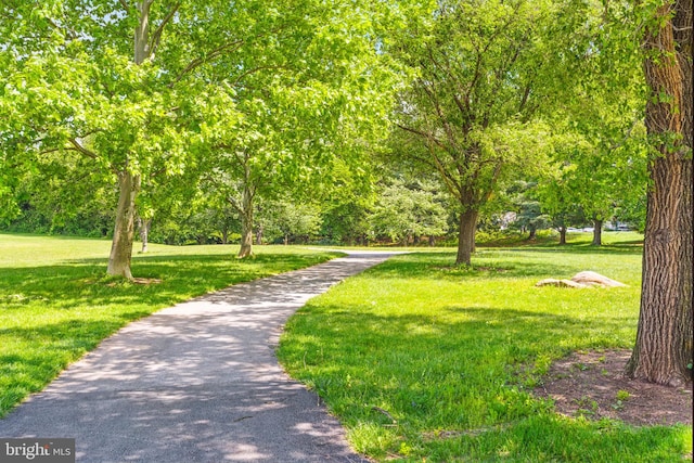 view of property's community with a lawn