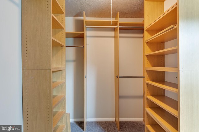 15926 Uppsala Ct, Woodbridge, VA 22191 - spacious closet featuring carpet