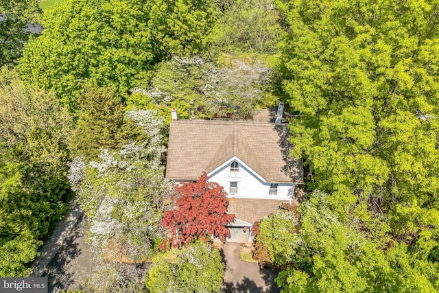 bird's eye view