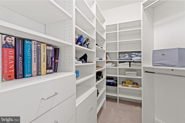 3929 Vacation Ln, Arlington, VA 22207 - spacious closet with carpet flooring