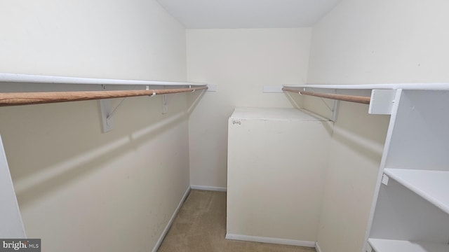 815 Ravens Crest Dr, Plainsboro, NJ 08536 - walk in closet featuring light carpet