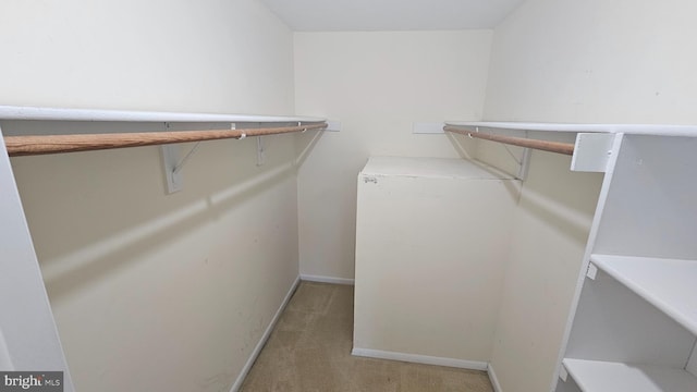 815 Ravens Crest Dr, Plainsboro, NJ 08536 - walk in closet featuring light colored carpet