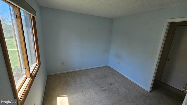 815 Ravens Crest Dr, Plainsboro, NJ 08536 - empty room featuring plenty of natural light, carpet floors, a textured ceiling, and baseboards