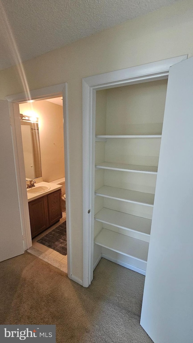 815 Ravens Crest Dr, Plainsboro, NJ 08536 - closet featuring a sink