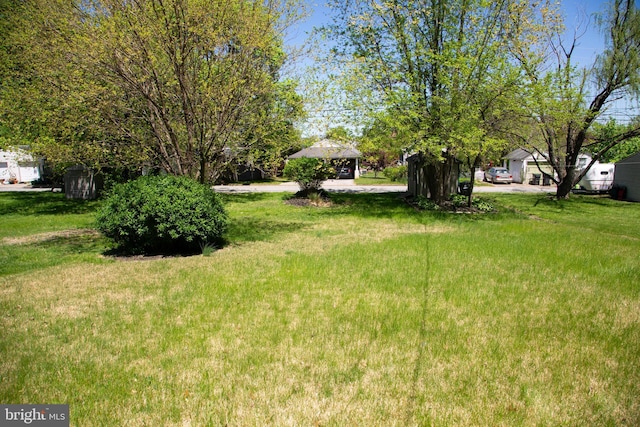 view of yard