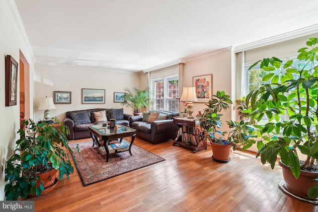 living room featuring crown molding and wood-type flooring