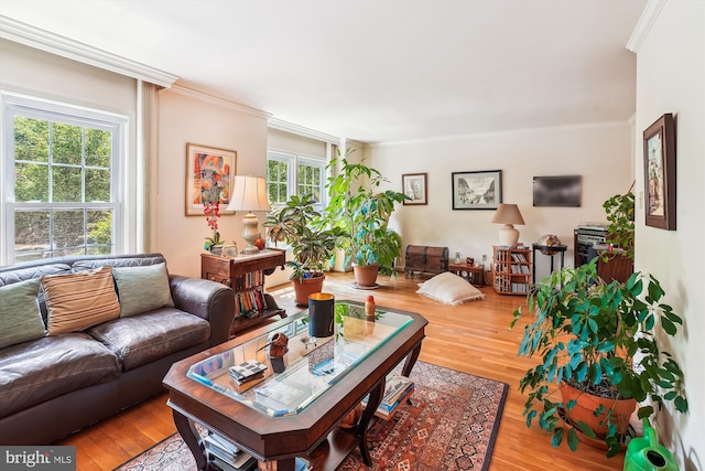 living area featuring wood finished floors and ornamental molding