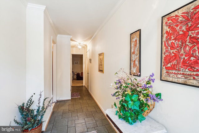 corridor with crown molding, baseboards, and stone finish flooring