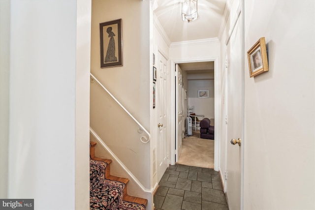 hall with baseboards, ornamental molding, and stone tile flooring