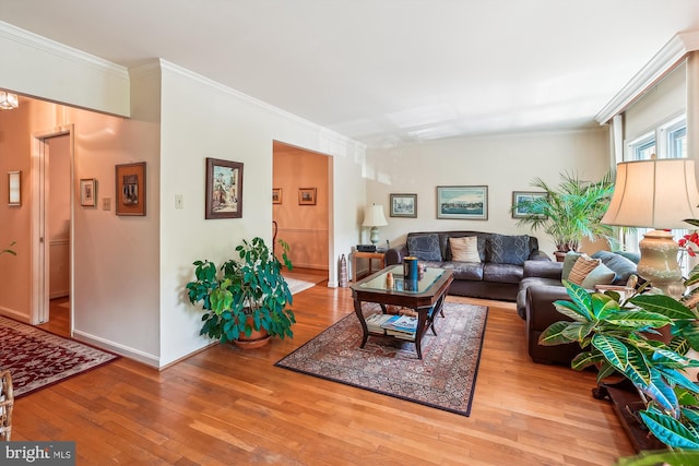 living room featuring crown molding, baseboards, and hardwood / wood-style floors