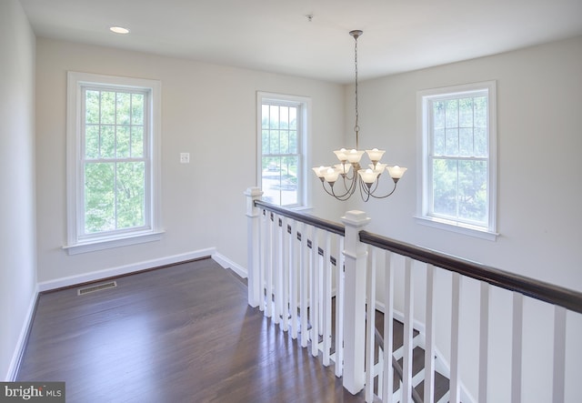 corridor featuring a healthy amount of sunlight, visible vents, dark wood-style flooring, and a notable chandelier