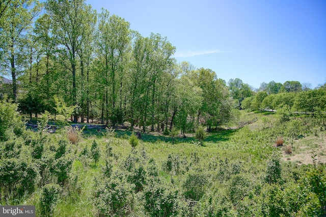 view of local wilderness featuring a forest view
