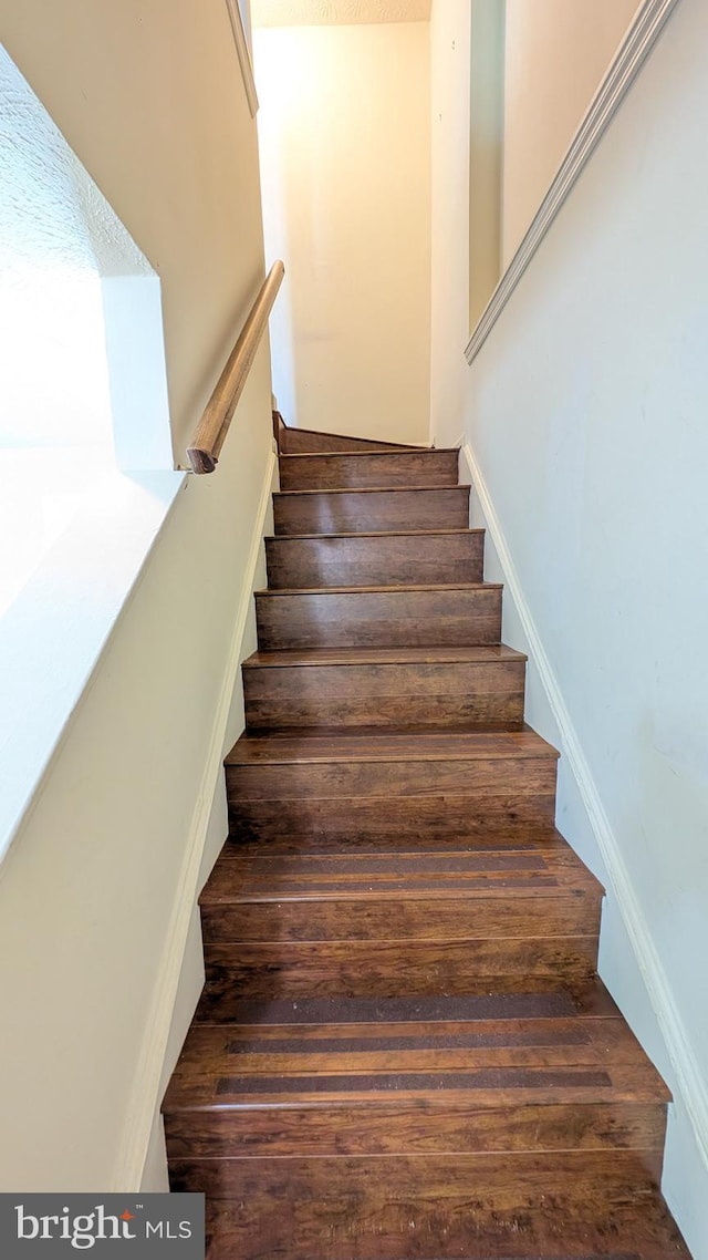 stairway with wood finished floors