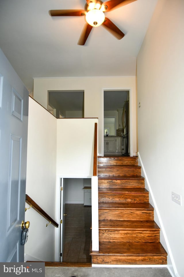 130 Great Lake Dr, Annapolis, MD 21403 - staircase featuring a ceiling fan and baseboards