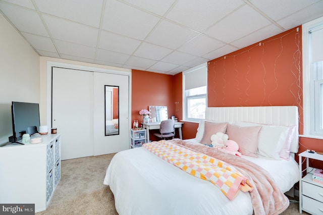 bedroom with light carpet, a closet, and a paneled ceiling