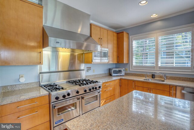 kitchen featuring crown molding, light stone countertops, wall chimney exhaust hood, a sink, and stainless steel appliances