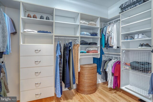 spacious closet featuring wood finished floors