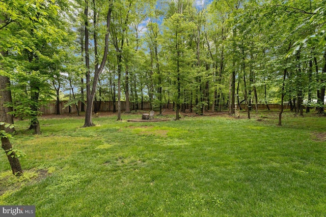 1301 Kelly Ct, Herndon, VA 20170 - view of yard