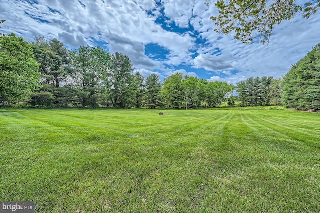 12439 Barnard Way SW, West Friendship, MD 21794 - view of yard