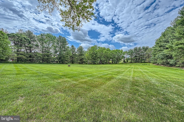 12439 Barnard Way SW, West Friendship, MD 21794 - view of yard