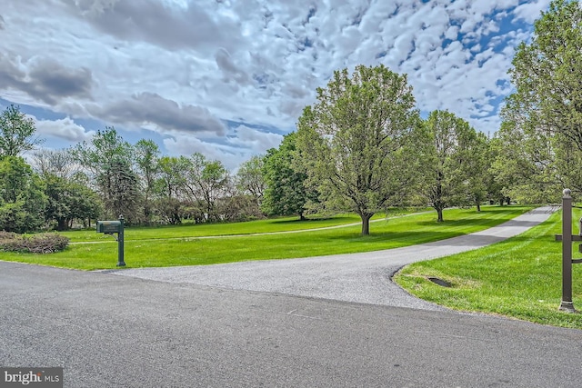 12439 Barnard Way SW, West Friendship, MD 21794 - view of home's community featuring a yard