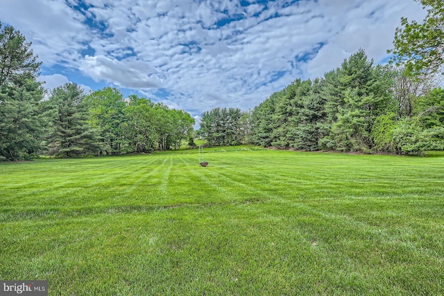 12439 Barnard Way SW, West Friendship, MD 21794 - view of yard