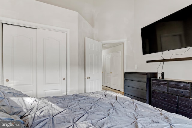 bedroom with wood finished floors and a closet