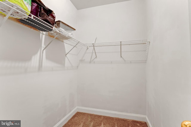 walk in closet featuring carpet