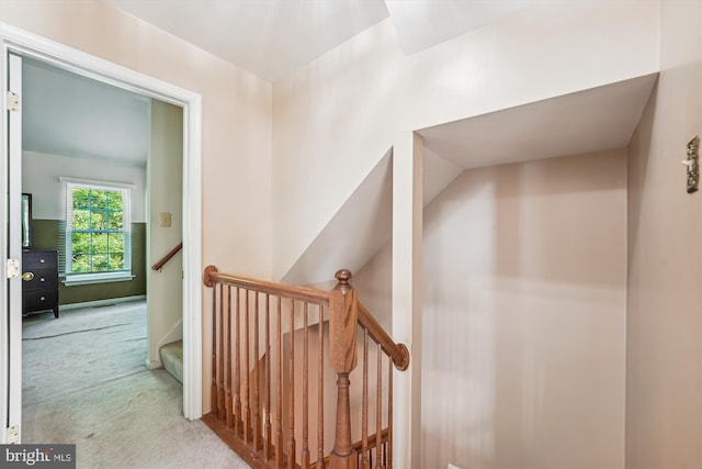 10048 Quiet Brook Ln, Clinton, MD 20735 - stairway featuring carpet flooring