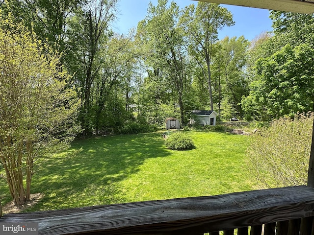 view of yard with an outdoor structure and a shed