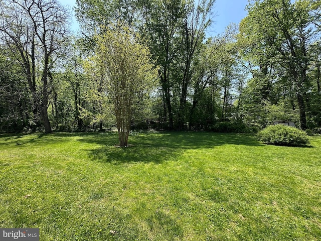 view of yard