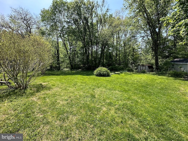 view of yard featuring a shed and an outbuilding