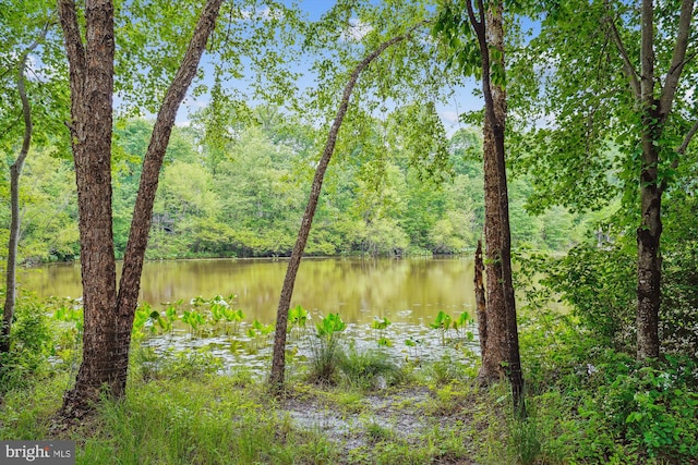 1145 Water Pointe Ln, Reston, VA 20194 - water view featuring a forest