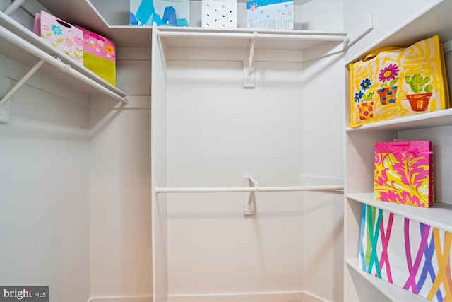 1145 Water Pointe Ln, Reston, VA 20194 - view of spacious closet