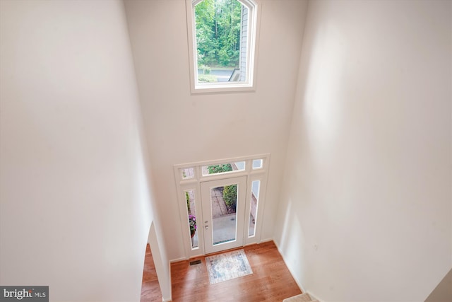 1145 Water Pointe Ln, Reston, VA 20194 - entrance foyer featuring healthy amount of natural light and light wood finished floors
