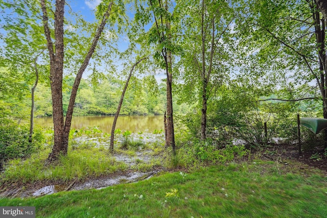 1145 Water Pointe Ln, Reston, VA 20194 - view of yard with a water view and a view of trees